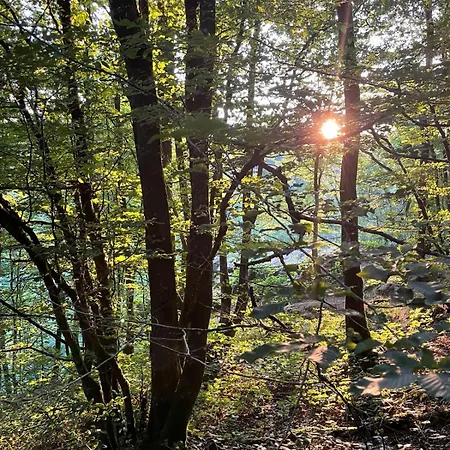 La Reduiste Alojamento de Acomodação e Pequeno-almoço 3*