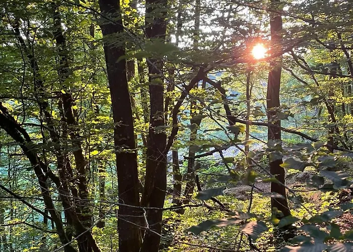 La Reduiste Couette-café 3*